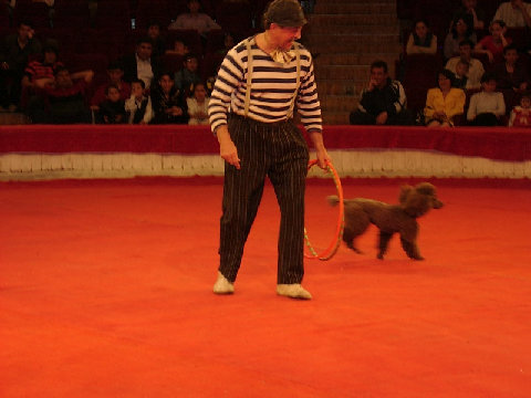 03250026.JPG