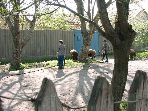 03290013.JPG
